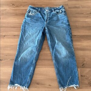 AE Distressed Mom Jeans 10 X-Short